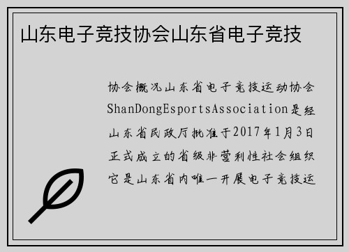 山东电子竞技协会山东省电子竞技
